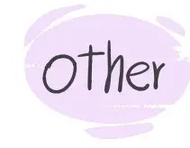 OTHER
